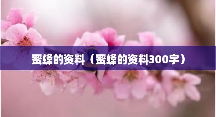 蜜蜂的资料（蜜蜂的资料300字）
