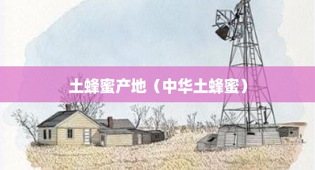 土蜂蜜产地（中华土蜂蜜）