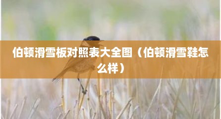 伯顿滑雪板对照表大全图（伯顿滑雪鞋怎么样）