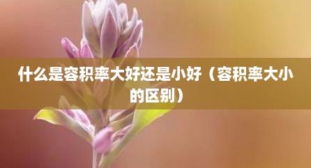 什么是容积率大好还是小好（容积率大小的区别）
