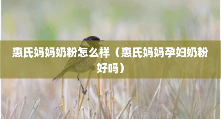 惠氏妈妈奶粉怎么样（惠氏妈妈孕妇奶粉好吗）