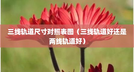 三线轨道尺寸对照表图（三线轨道好还是两线轨道好）