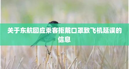关于东航回应乘客拒戴口罩致飞机延误的信息