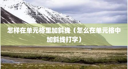 怎样在单元格里加斜线（怎么在单元格中加斜线打字）