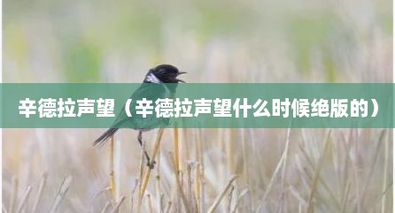 辛德拉声望（辛德拉声望什么时候绝版的）