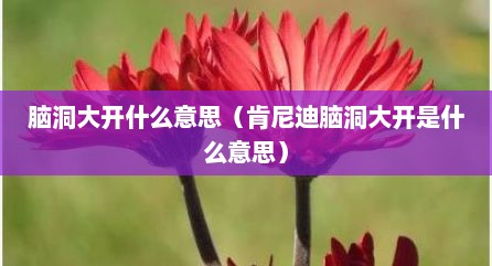 脑洞大开什么意思（肯尼迪脑洞大开是什么意思）