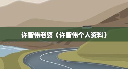 许智伟老婆（许智伟个人资料）
