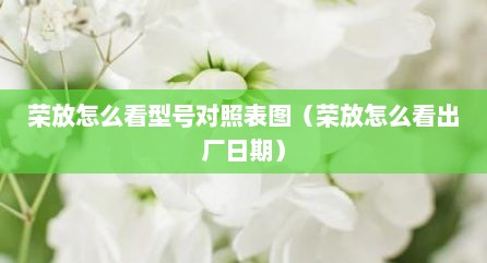 荣放怎么看型号对照表图（荣放怎么看出厂日期）