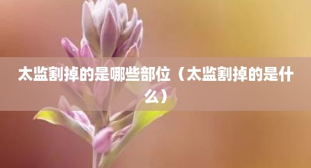 太监割掉的是哪些部位（太监割掉的是什么）