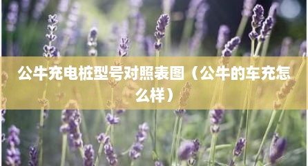 公牛充电桩型号对照表图（公牛的车充怎么样）