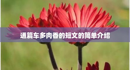 通篇车多肉香的短文的简单介绍
