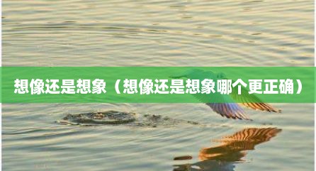 想像还是想象（想像还是想象哪个更正确）