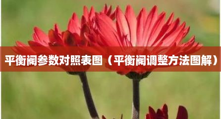平衡阀参数对照表图（平衡阀调整方法图解）