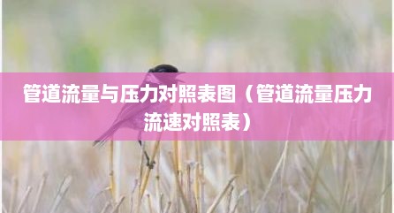 管道流量与压力对照表图（管道流量压力流速对照表）