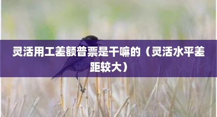 灵活用工差额普票是干嘛的（灵活水平差距较大）