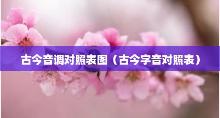 古今音调对照表图（古今字音对照表）