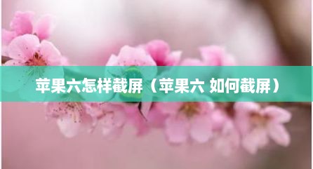 苹果六怎样截屏（苹果六 如何截屏）