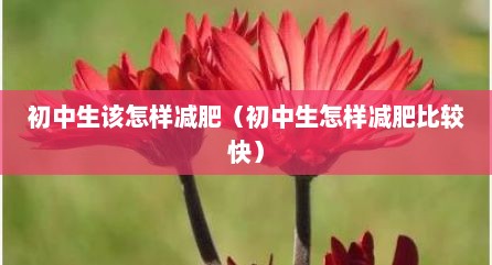 初中生该怎样减肥（初中生怎样减肥比较快）