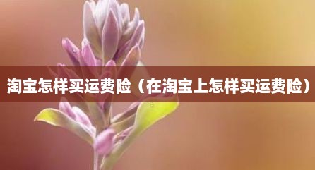 淘宝怎样买运费险（在淘宝上怎样买运费险）