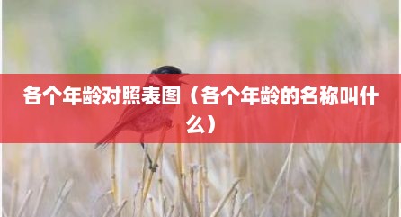 各个年龄对照表图（各个年龄的名称叫什么）