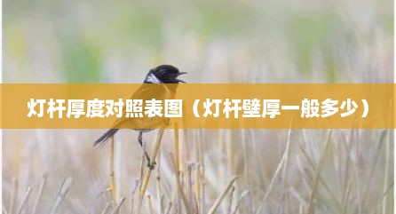 灯杆厚度对照表图（灯杆壁厚一般多少）