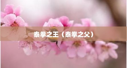 泰拳之王（泰拳之父）