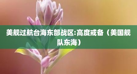 美舰过航台海东部战区:高度戒备（美国舰队东海）