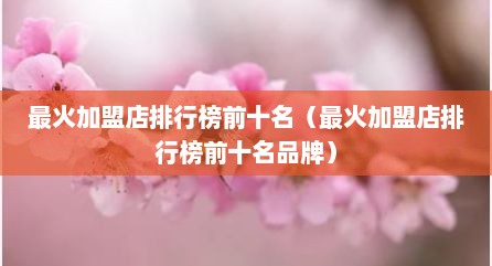 最火加盟店排行榜前十名（最火加盟店排行榜前十名品牌）