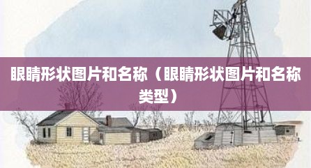 眼睛形状图片和名称（眼睛形状图片和名称 类型）