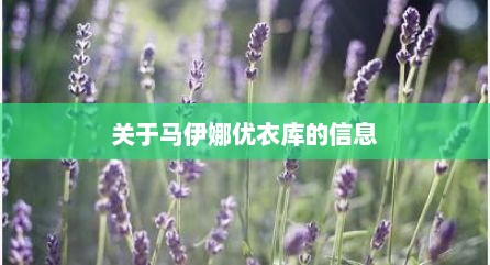 关于马伊娜优衣库的信息