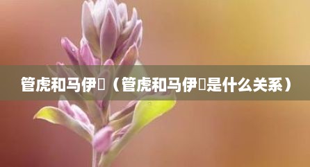 管虎和马伊琍（管虎和马伊琍是什么关系）