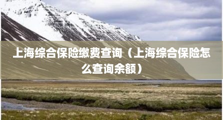 上海综合保险缴费查询（上海综合保险怎么查询余额）