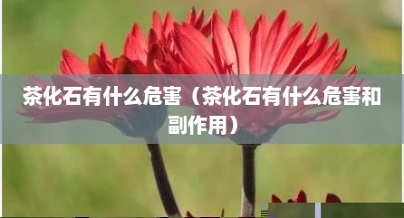 茶化石有什么危害（茶化石有什么危害和副作用）