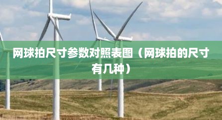 网球拍尺寸参数对照表图（网球拍的尺寸有几种）
