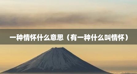一种情怀什么意思（有一种什么叫情怀）