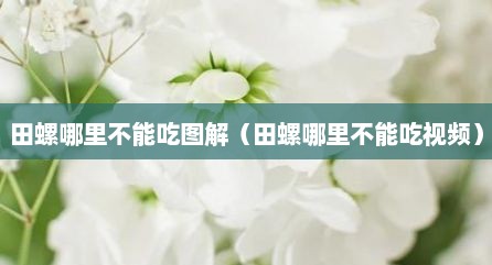 田螺哪里不能吃图解（田螺哪里不能吃视频）