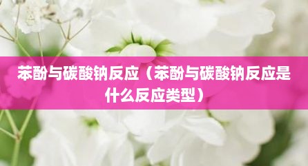 苯酚与碳酸钠反应（苯酚与碳酸钠反应是什么反应类型）
