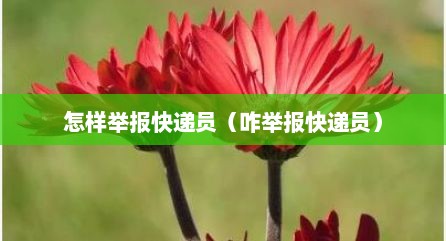 怎样举报快递员（咋举报快递员）