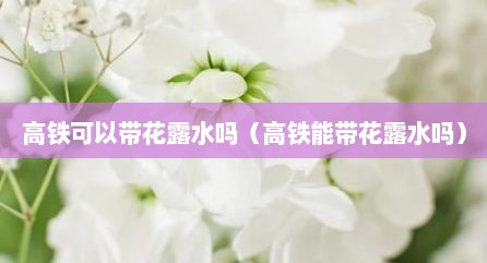 高铁可以带花露水吗（高铁能带花露水吗）