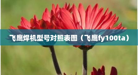 飞鹰焊机型号对照表图（飞鹰fy100ta）