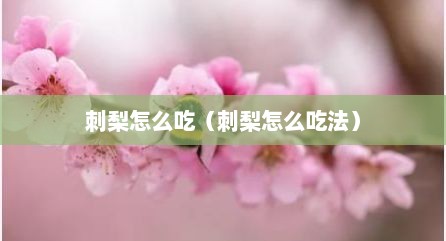 刺梨怎么吃（刺梨怎么吃法）