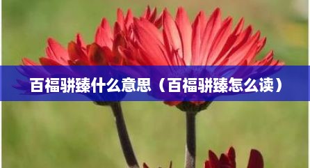 百福骈臻什么意思（百福骈臻怎么读）