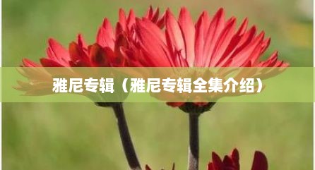 雅尼专辑（雅尼专辑全集介绍）