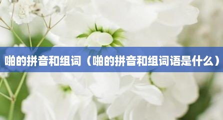 啪的拼音和组词（啪的拼音和组词语是什么）