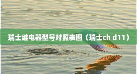 瑞士继电器型号对照表图（瑞士ch d11）