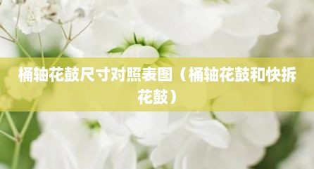 桶轴花鼓尺寸对照表图（桶轴花鼓和快拆花鼓）