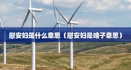 慰安妇是什么意思（慰安妇是啥子意思）