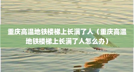 重庆高温地铁楼梯上长满了人（重庆高温地铁楼梯上长满了人怎么办）