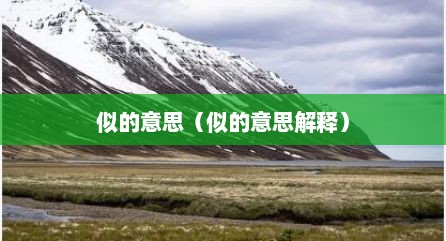 似的意思（似的意思解释）