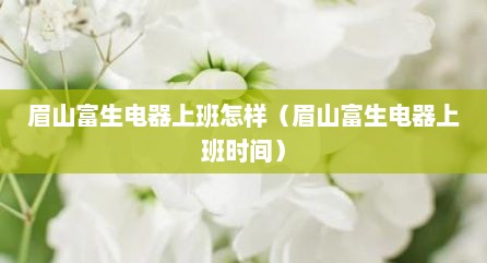 眉山富生电器上班怎样（眉山富生电器上班时间）